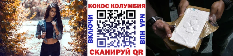 Купить закладки  Камышин  Cocaine Fish Scale 