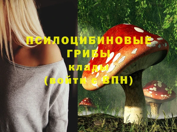 прущие крисы Заволжск