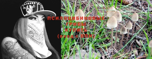 кристаллы Заводоуковск