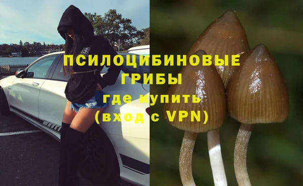MESCALINE Заволжье