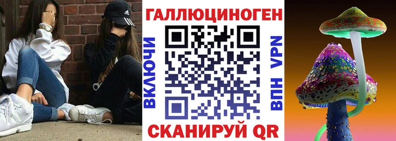 Псилоцибиновые грибы MAGIC MUSHROOMS  Купить закладки  Камышин 