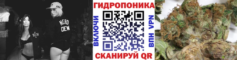 Бошки марихуана план  Купить закладки  Камышин 